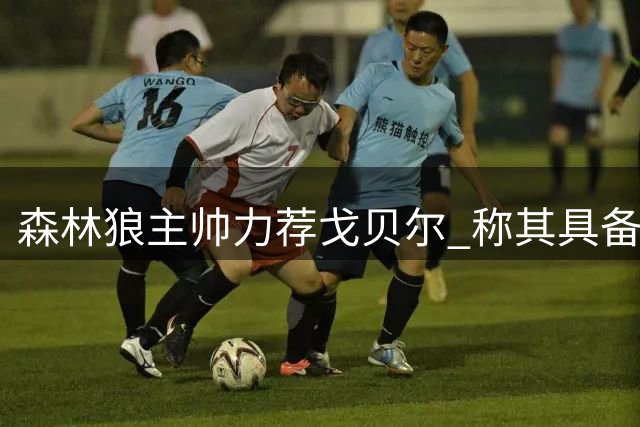 森林狼主帅力荐戈贝尔 称其具备名人堂首轮资格
